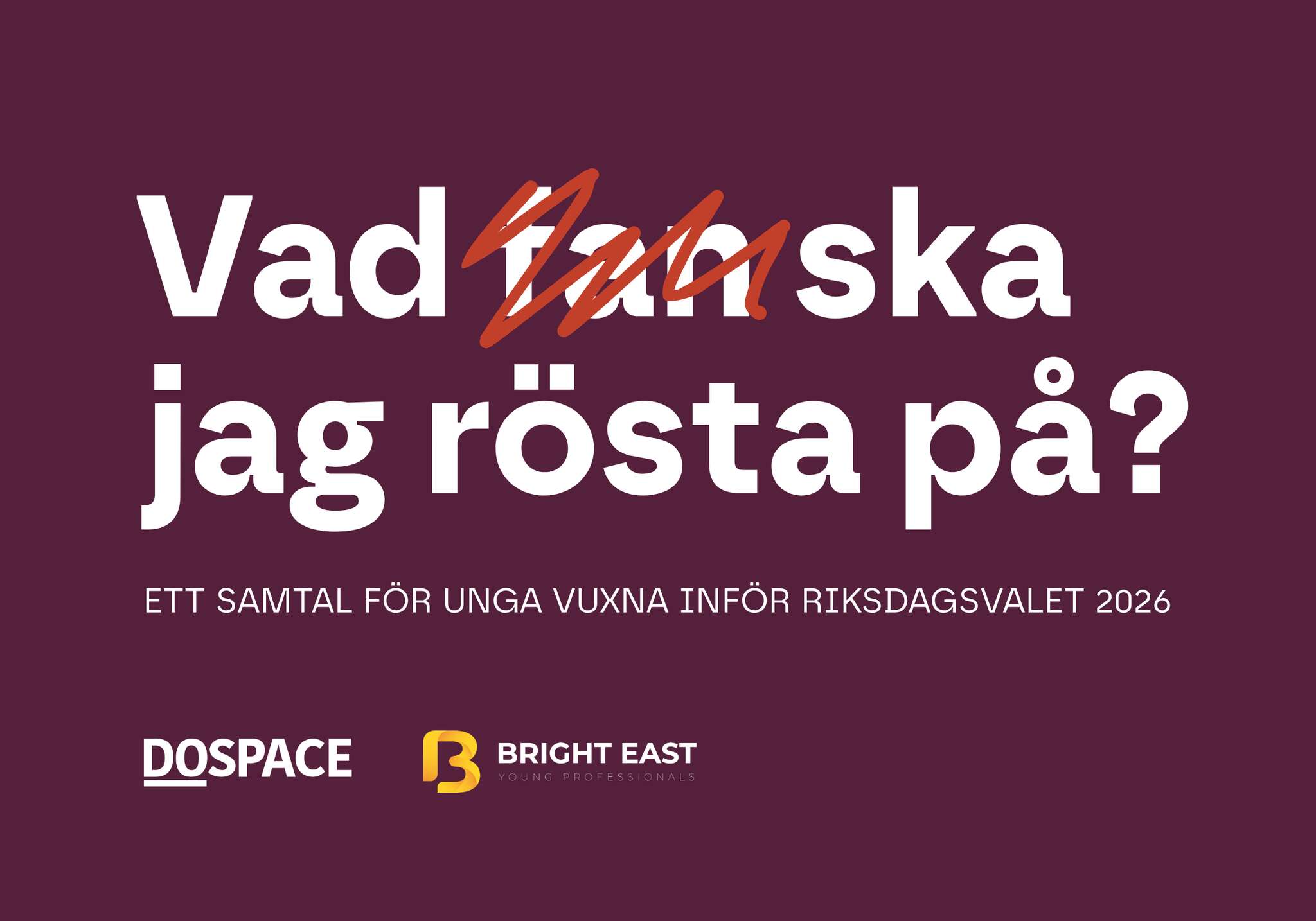 Vad f*n ska jag rösta på?