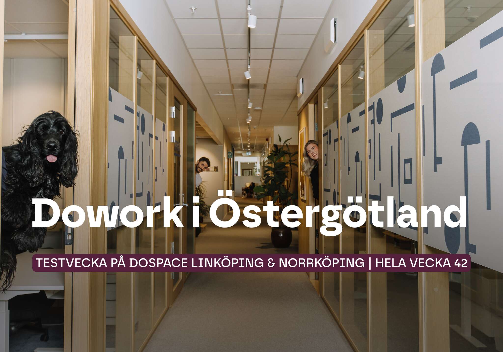 Dowork i Östergötland