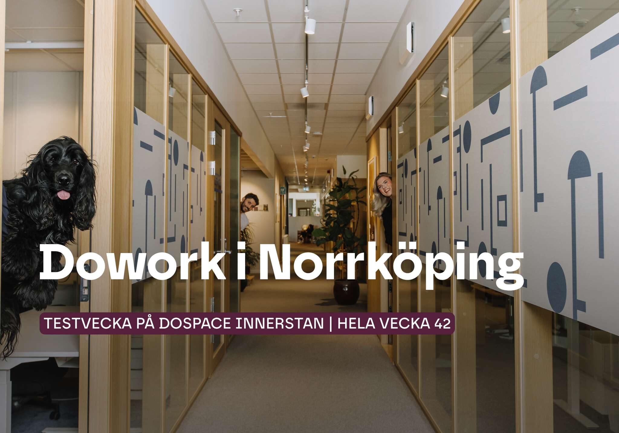 Dowork i Norrköping
